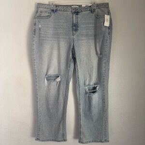 And Now This Seneca Women’s 20W The High Cuff Jean Ultra High Rise Crop Length
